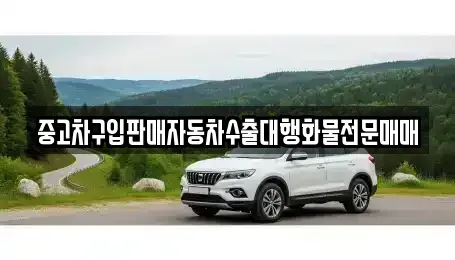 경기 안성시 가현동 중고차 전문 중고차구입판매자동차수출대행화물전문매매
