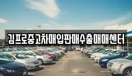 경기 안성시 가현동 중고차매입 전문 김프로중고차매입판매수출매매센터