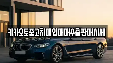 경기 안성시 숭인동 중고차 전문 카카오토중고차매입매매수출판매시세