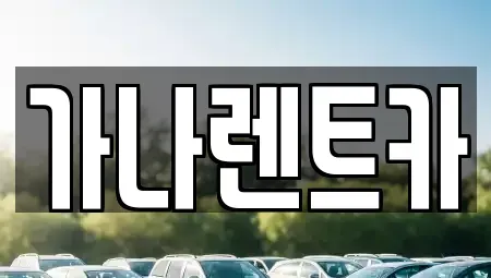 경기 안성시 신소현동 렌트카 전문 가나렌트카