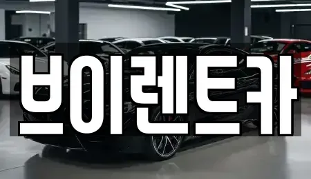 경기 안성시 신소현동 렌트카 전문 브이렌트카