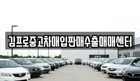 경기 안성시 신소현동 중고차매입 전문 김프로중고차매입판매수출매매센터
