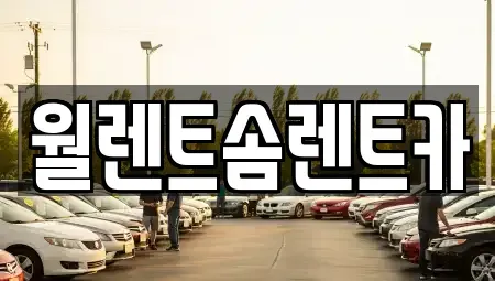경기 안성시 연지동 렌트카 전문 월렌트솜렌트카