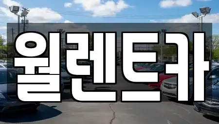 경기 안성시 연지동 렌트카 전문 월렌트카