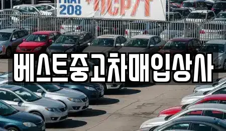 경기 안성시 연지동 중고차매매 전문 베스트중고차매입상사