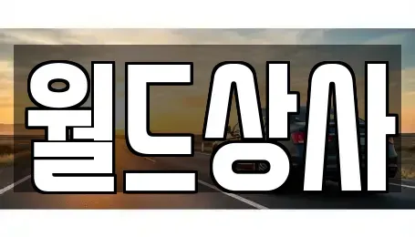 경기 안성시 연지동 중고차매매 전문 월드상사