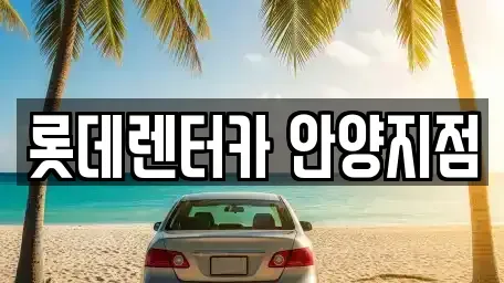 경기 안양시 동안구 관양동 단기렌트카 전문 롯데렌터카 안양지점