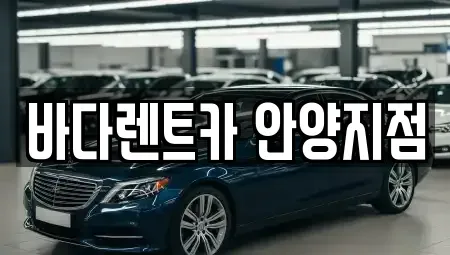 경기 안양시 동안구 관양동 장기렌트카 전문 바다렌트카 안양지점