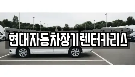 경기 안양시 동안구 관양동 장기렌트카 전문 현대자동차장기렌터카리스