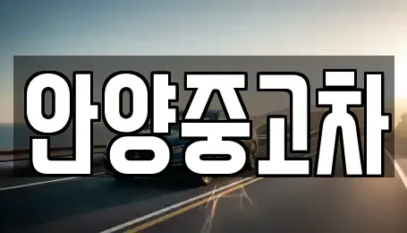 경기 안양시 동안구 관양동 중고차매매 전문 안양중고차