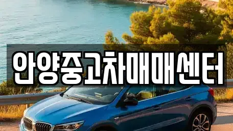 경기 안양시 동안구 관양동 중고차매매 전문 안양중고차매매센터