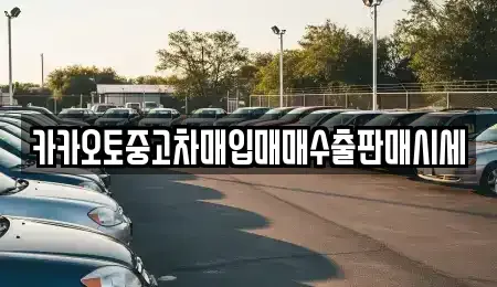 경기 안양시 동안구 관양동 중고차매입 전문 카카오토중고차매입매매수출판매시세