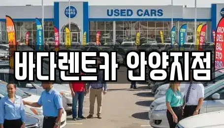 경기 안양시 동안구 장기렌트카 전문 바다렌트카 안양지점