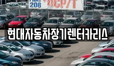 경기 안양시 동안구 장기렌트카 전문 현대자동차장기렌터카리스