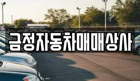 경기 안양시 동안구 중고차 전문 금정자동차매매상사