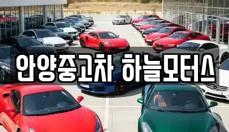 경기 안양시 동안구 중고차 전문 안양중고차 하늘모터스