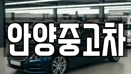 경기 안양시 동안구 중고차 전문 안양중고차