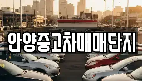 경기 안양시 동안구 중고차 전문 안양중고차매매단지