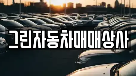 경기 양평군 양평읍 중고차매매 전문 그린자동차매매상사