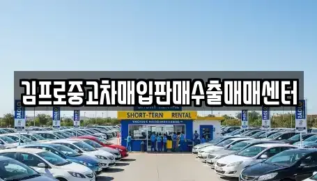 경기 양평군 양평읍 중고차매입 전문 김프로중고차매입판매수출매매센터