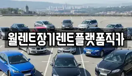 경기 여주시 장기렌트카 전문 월렌트장기렌트플랫폼직카