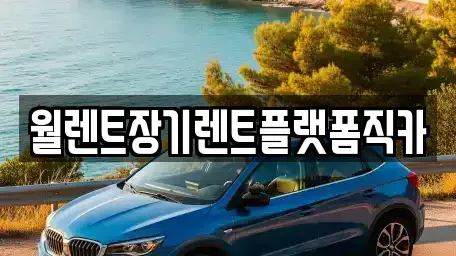 경기 오산시 가수동 렌트카 전문 월렌트장기렌트플랫폼직카
