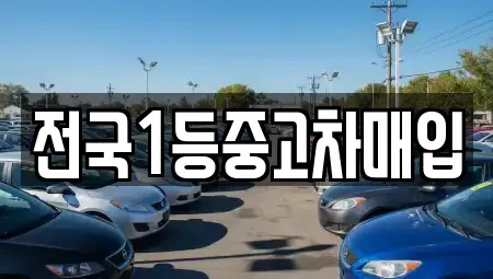 경기 오산시 가수동 중고차 전문 전국1등중고차매입
