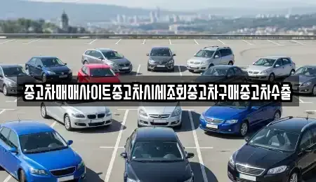 경기 오산시 고현동 중고차매매 전문 중고차매매사이트중고차시세조회중고차구매중고차수출