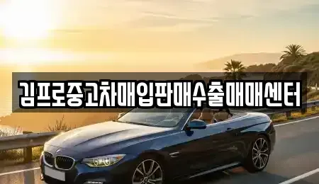 경기 오산시 고현동 중고차매입 전문 김프로중고차매입판매수출매매센터