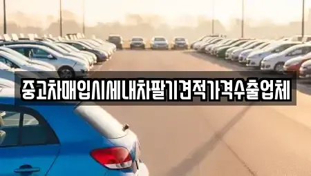 경기 오산시 고현동 중고차매입 전문 중고차매입시세내차팔기견적가격수출업체