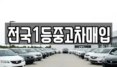 경기 오산시 오산동 중고차매입 전문 전국1등중고차매입