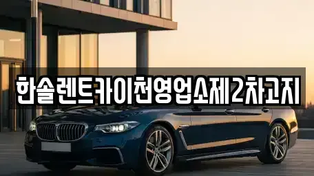 경기 이천시 율면 렌트카,단기렌트카,장기렌트카,중고차,중고차매매,중고차매입
