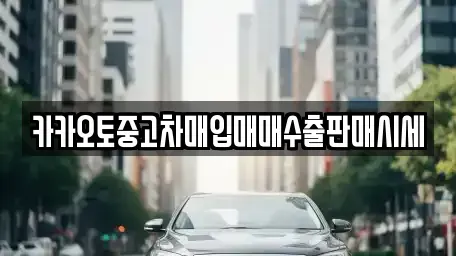 경기 이천시 율면 중고차매입 전문 카카오토중고차매입매매수출판매시세
