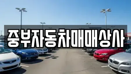 경기 이천시 증일동 중고차 전문 중부자동차매매상사