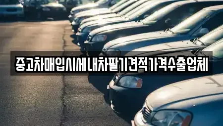 경기 이천시 증일동 중고차매입 전문 중고차매입시세내차팔기견적가격수출업체