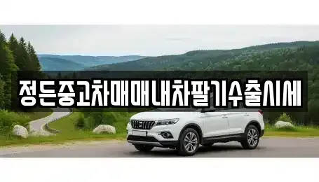 경기 파주시 당하동 중고차 전문 정든중고차매매내차팔기수출시세