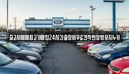 경기 파주시 당하동 중고차 전문 중고차매매최고가매입24시간출장비무료견적현장방문지누카