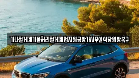 경기 파주시 당하동 중고차매입 전문 가나철거폐기물처리철거폐업지원금상가사무실식당원상복구