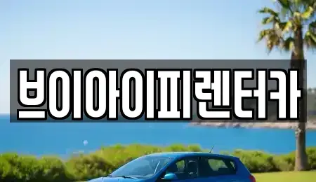 경기 파주시 맥금동 렌트카 전문 브이아이피렌터카