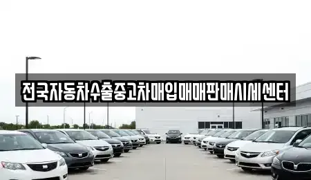 경기 파주시 맥금동 중고차 전문 전국자동차수출중고차매입매매판매시세센터