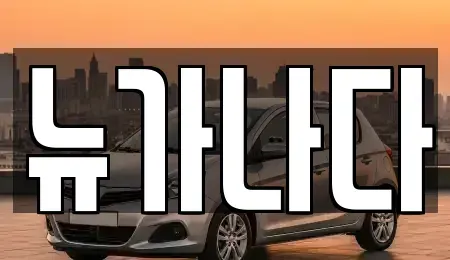 경기 파주시 신촌동 렌트카 전문 뉴가나다