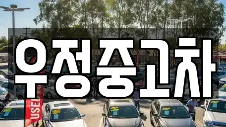 경기 파주시 신촌동 중고차매매 전문 우정중고차