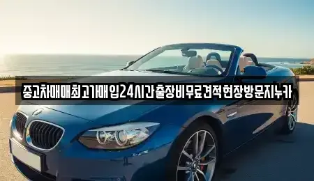 경기 파주시 신촌동 중고차매입 전문 중고차매매최고가매입24시간출장비무료견적현장방문지누카