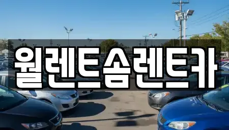 경기 파주시 야동동 렌트카 전문 월렌트솜렌트카