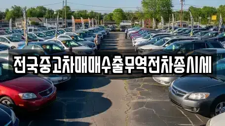 경기 파주시 야동동 중고차 전문 전국중고차매매수출무역전차종시세