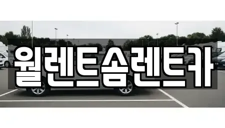 경기 파주시 하지석동 렌트카 전문 월렌트솜렌트카