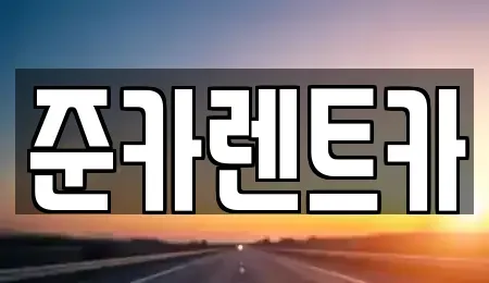 경기 파주시 하지석동 렌트카 전문 준카렌트카