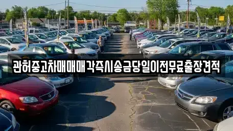 경기 파주시 하지석동 중고차 전문 관허중고차매매매각즉시송금당일이전무료출장견적