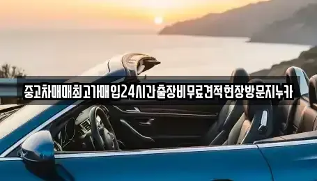 경기 파주시 하지석동 중고차 전문 중고차매매최고가매입24시간출장비무료견적현장방문지누카