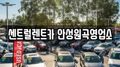 경기 평택시 도일동 단기렌트카,중고차매입,중고차매매,중고차,렌트카,장기렌트카